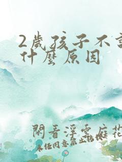 2岁孩子不说话什么原因