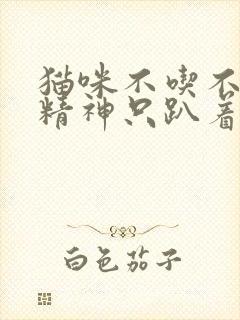 猫咪不吃不喝没精神只趴着会死吗