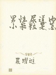 男性尿道内侧长小米粒是怎么回事