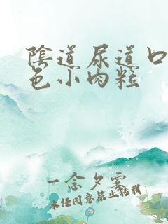 阴道尿道口长白色小肉粒