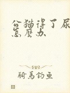 公猫得了尿结石怎么办