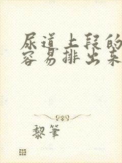 尿道上段的结石容易排出来吗