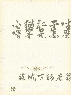 小猫肚子咕噜咕噜响是怎么回事