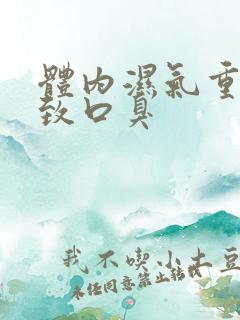 体内湿气重会导致口臭