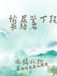 输尿管下段1厘米结石