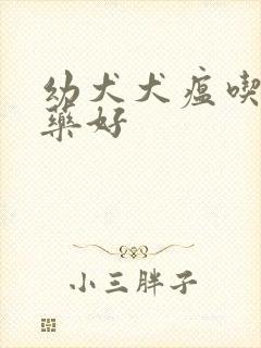 幼犬犬瘟吃什么药好