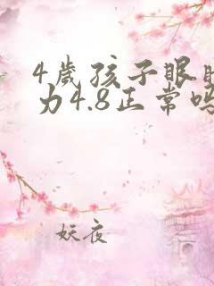 4岁孩子眼睛视力4.8正常吗