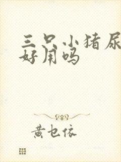 三只小猪尿不湿好用吗