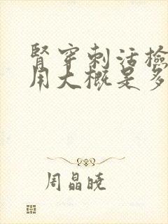 肾穿刺活检的费用大概是多少