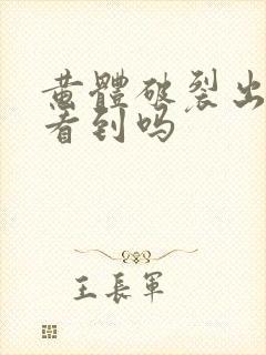 黄体破裂出血能看到吗