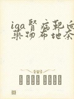 iga肾病靶向药物布地奈德