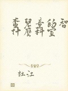 查儿童的智力挂什么科室