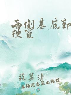 两侧基底节区腔梗灶