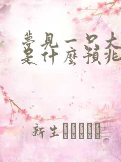 梦见一只大兔子是什么预兆