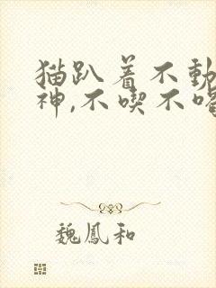 猫趴着不动没精神,不吃不喝,也不拉