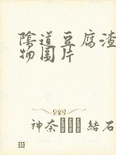 阴道豆腐渣分泌物图片