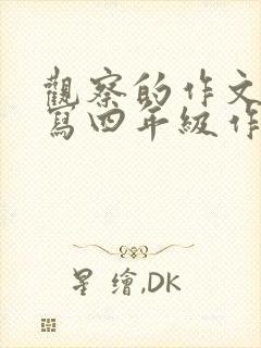 观察的作文怎么写四年级作文