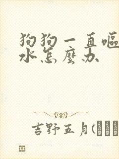 狗狗一直呕吐黄水怎么办