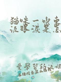 猫咪一吃东西就流眼泪是怎么回事