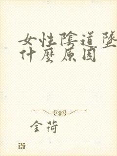 女性阴道坠痛是什么原因