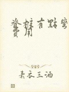 脊椎有点弯矫正费用