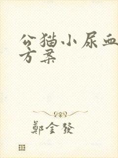 公猫小尿血治疗方案