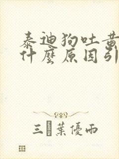 泰迪狗吐黄水是什么原因引起的