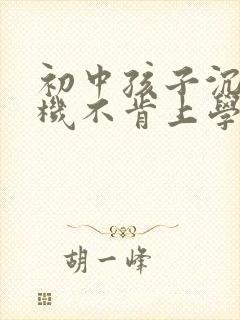 初中孩子沉迷手机不肯上学