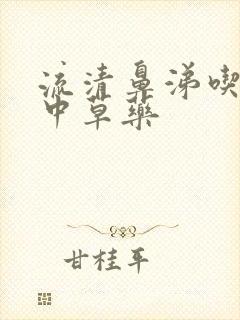 流清鼻涕吃什么中草药