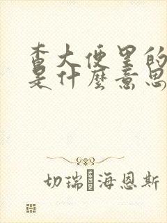 查大便里的隐血是什么意思