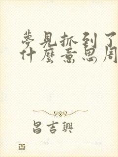 梦见抓到了鱼是什么意思周公解梦