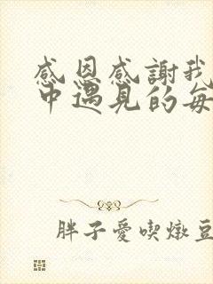 感恩感谢我生命中遇见的每个人