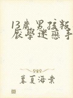 13岁男孩叛逆厌学迷恋手机怎么办