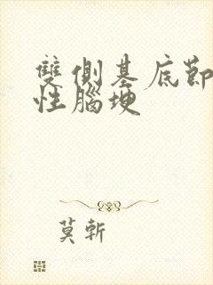 双侧基底节腔隙性脑埂