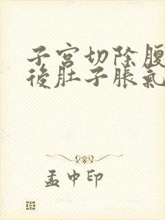 子宫切除腹腔镜后肚子胀气,腹痛咋办