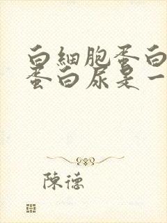 白细胞蛋白尿和蛋白尿是一回事吗