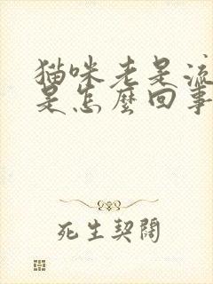 猫咪老是流眼泪是怎么回事