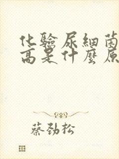 化验尿细菌计数高是什么原因