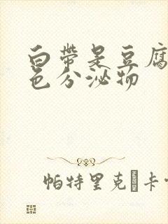 白带是豆腐渣黄色分泌物