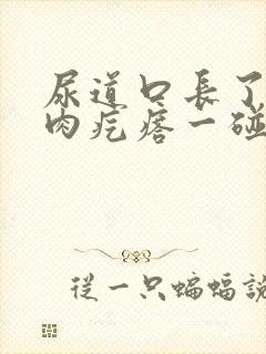 尿道口长了个小肉疙瘩一碰就疼