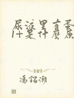 尿液里有蛋白质1+是什么原因