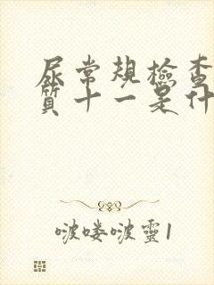 尿常规检查蛋白质十一是什么意思