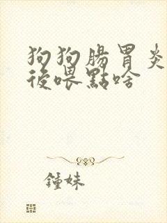 狗狗肠胃炎好了后喂点啥