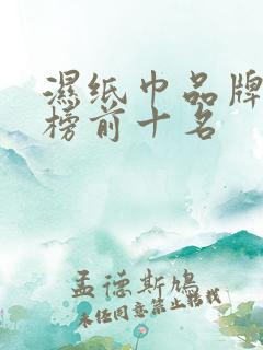 湿纸巾品牌排行榜前十名