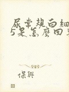 尿常规白细胞15是怎么回事