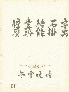 胆囊结石要吃什么药能排出