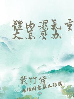 体内湿气重肚子大怎么办