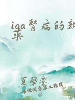 iga肾病的新药