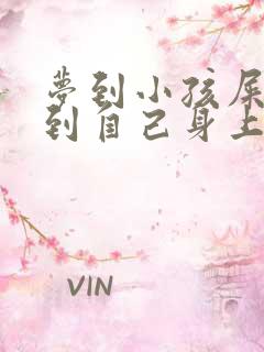 梦到小孩屎尿弄到自己身上