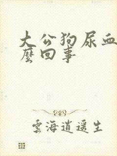 大公狗尿血是怎么回事